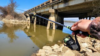 Fishing Under a BUSY INTERSTATE BRIDGE!! (Lots of fish)