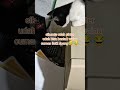 kucing pintar #cat #fypシ゚viral