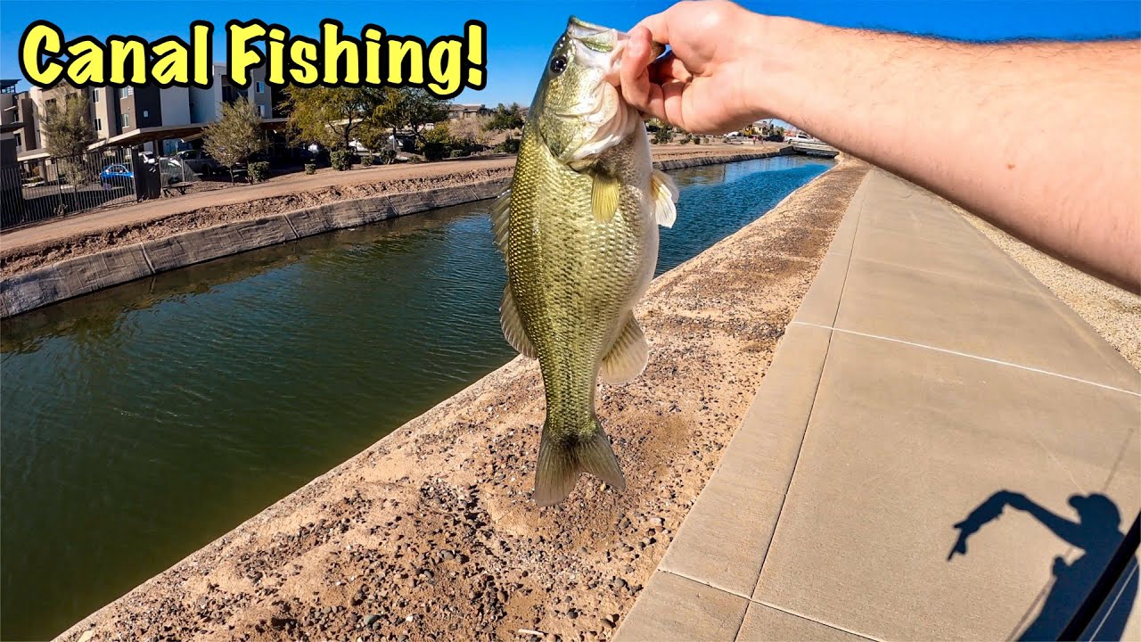 Arizona CANAL Fishing for BIG Bass!