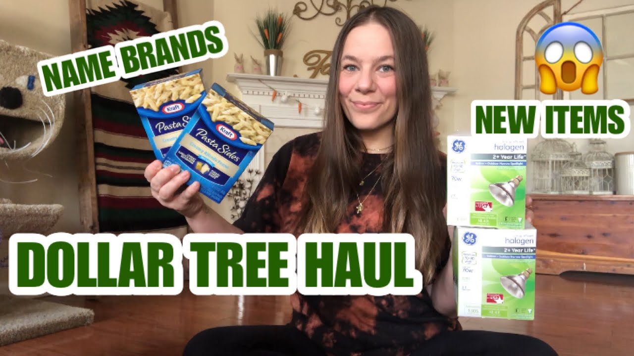 NEW DOLLAR TREE HAUL*NAME BRANDS*NEW ITEMS* YouTube