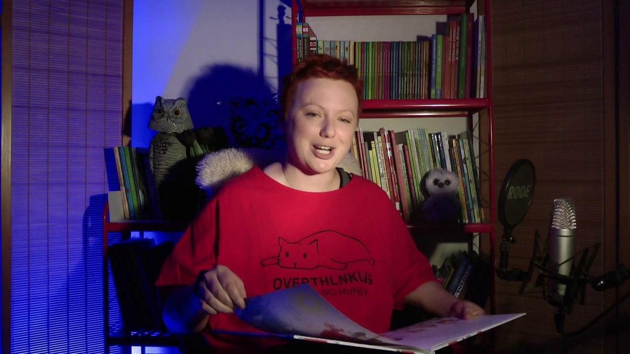 Аудиосказка для детей “Джек и дерево флумбрикос”. Дом чёрной Совы