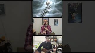 Wild Arms 2 Opening Theme 🤠 🎶 #videogames #guitarcover #playstation #jrpg #shorts