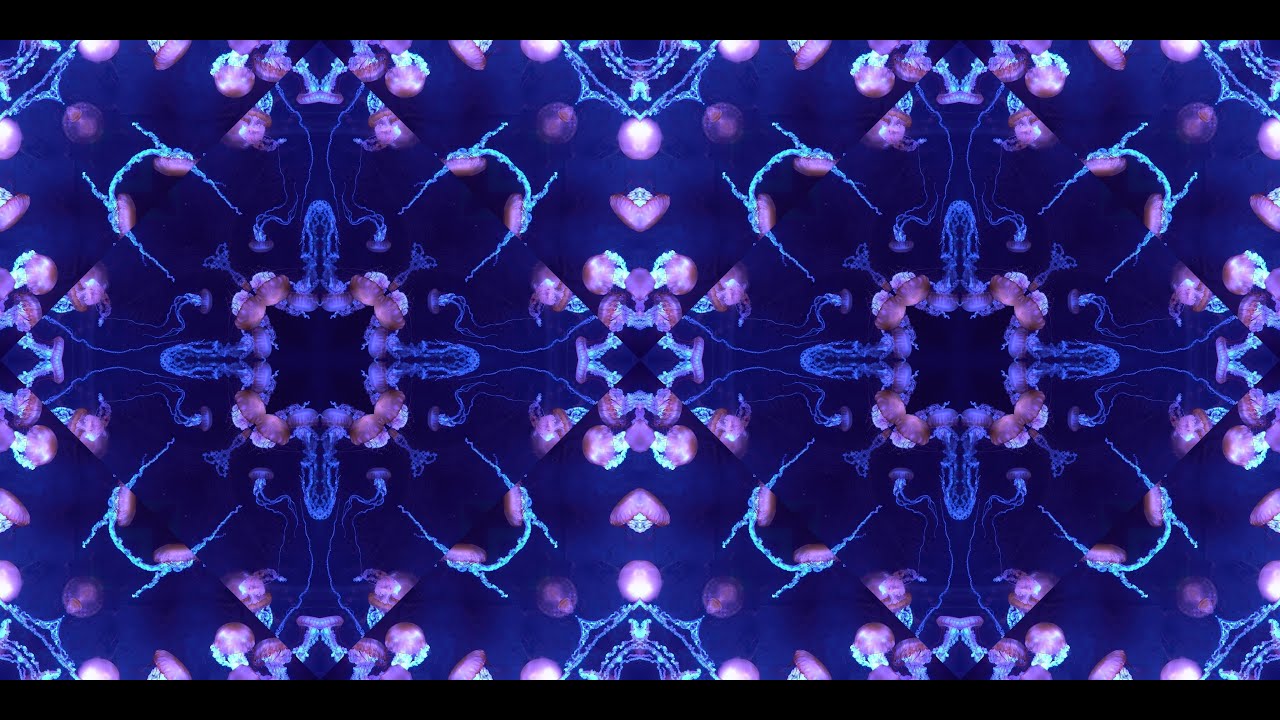 Kaleidoscope Jellyfish #2 | 4K Animal Visual Art in Motion