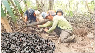 The whole group was panicked and hurriedly found "Look" a nest of snails all over the ground.