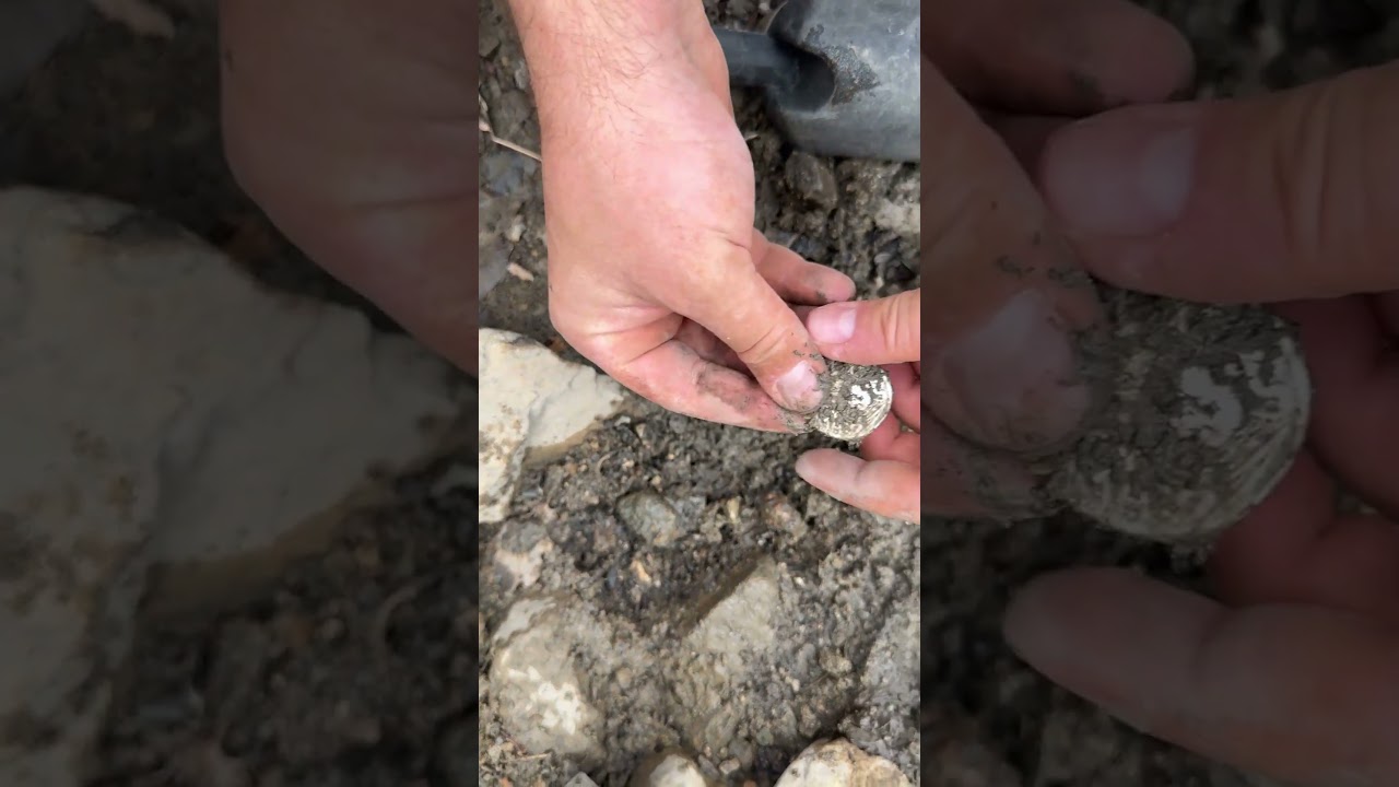 Couldn’t Breathe When I Found This Coin!