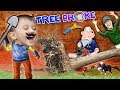 HELLO NEIGHBOR BROKE OUR TREE!! Oreo's Pavilion vs Fallen Tree (FUNnel Fam Hurricane Vlog)