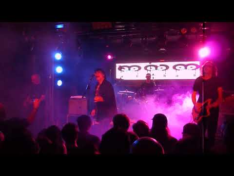 The Chameleons Vox
