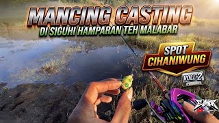 🔴 MANCING CASTING GABUS DI CIHANIWUNG: View Kebun Teh Malabar Bikin Betah!