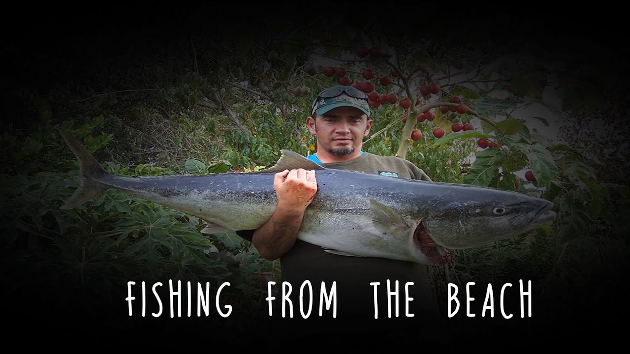 Fishing From The Beach New Zealand 