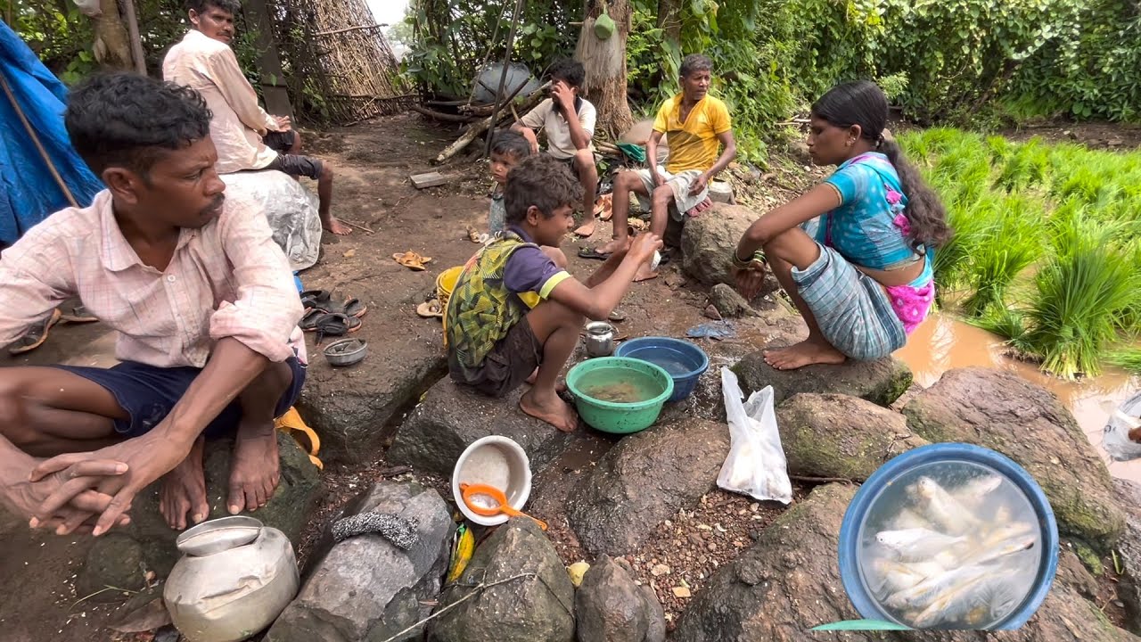 आदीवासी जीवन ।शेतावरच्या झोपडीत राहतात । जेवायला म्हावरा । भात लावताना मजा करतात 👌
