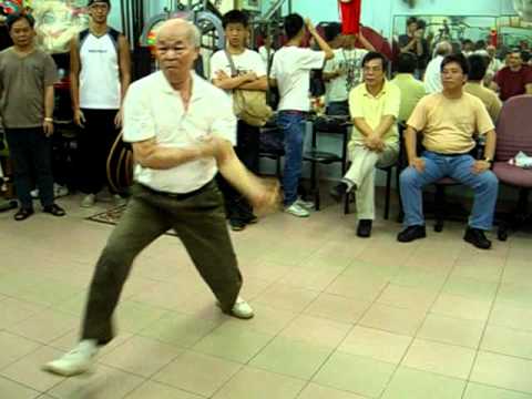 Master Lam , Tung Kong Lung Ying Dragon Kung Fu