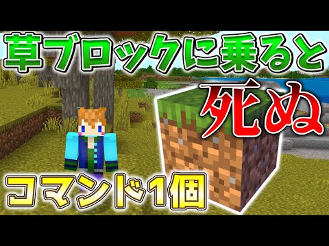 【スイッチ対応】新execute対応！！草に乗ると死ぬコマンド！！【マイクラコマンド】