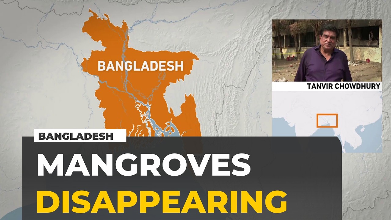 Mangrove loss threatens livelihoods and wildlife on Bangladesh’s Sonadia Island