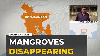 Mangrove loss threatens livelihoods and wildlife on Bangladesh’s Sonadia Island