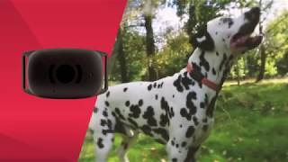 MiniFinder Atto Dog GPS Tracker