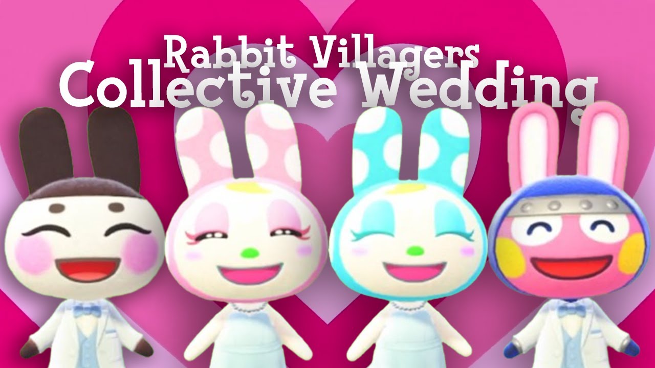 Who's the only bachelor: Rabbit villagers' collective wedding