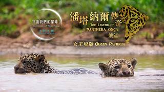 史上最傳奇的美洲豹女王派翠西亞！導演舒夢蘭深入南美洲濕地，追蹤穿越烈焰中的王者，紀錄傳奇母豹家族的生存傳奇！｜《守護我們的星球：水陸之間》「潘塔納爾傳奇之女王現蹤」！〡聚焦全世界〡 舒夢蘭