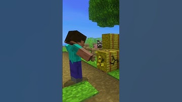 Minecraft, But if You Like this Video A Random Happen #shorts #minecraftshorts