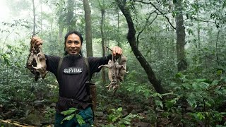Live 24h - Solo Survival(NO FOOD, NO SHELTER) - Shelter, Traps, Catch and Cook