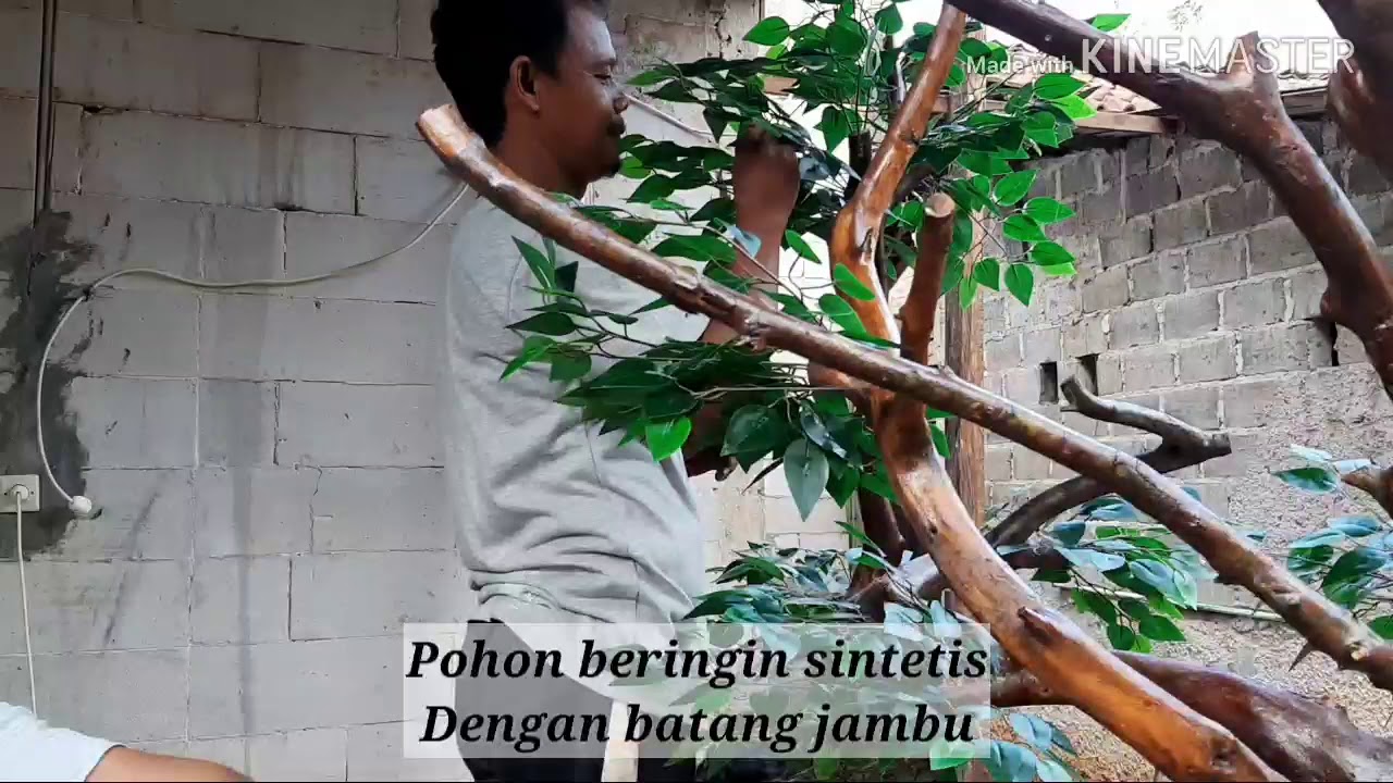  Cara  membuat  pohon  sintetis dengan batang jambu pohon  