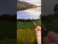 Painting grass