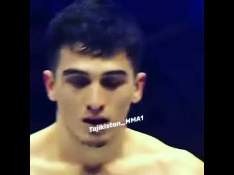 Самандар качок