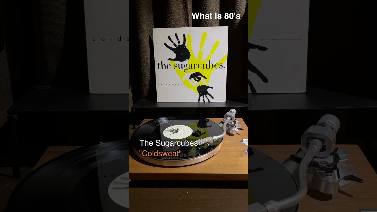 The Sugarcubes 
