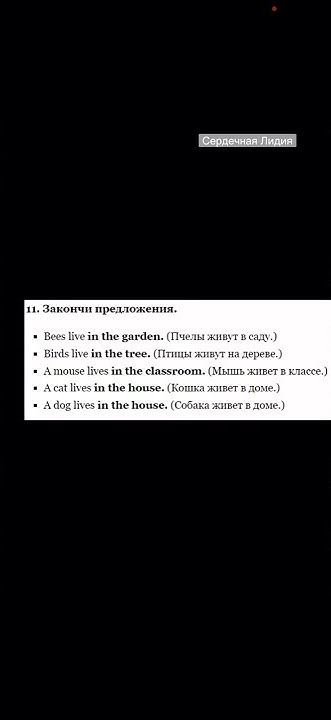 ГДЗ 2 класс (2 часть) Форвард (Forward) стр. 20, упр. 9, 10, 11. - YouTube