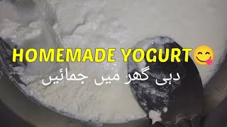 Homemade Yogurt Recipe By Syeda Madiha Arif