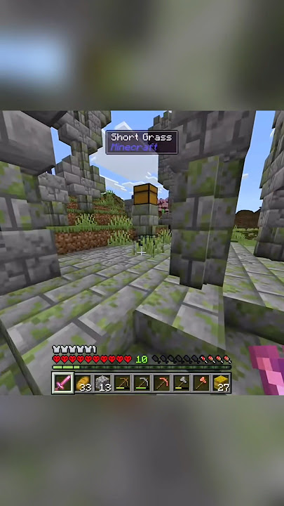 What Kind Of Trickery Is This??? #minecraft #minecraftshorts #shorts #gaming