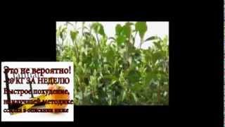 Быстро диета - ЭТО НЕВЕРОЯТНО!!! -20 КГ ЗА НЕДЕЛЮ. Быстро диета - ЭТО НЕВЕРОЯТНО!!! -20 КГ ЗА НЕДЕЛЮ.