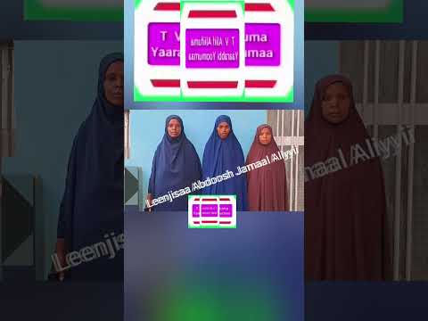 Leenjisaa Abdoosh Jamaal Aliyyii