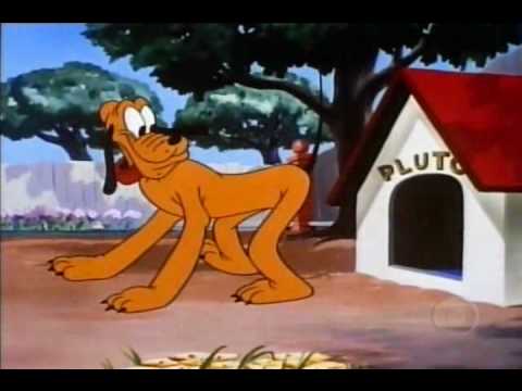 As Aventuras De Mickey E Donald - Pluto - Ladrão De Osso