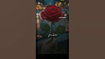 كل عام وانت الحب ماجد المهندس 