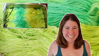 Dyepot Weekly #462 - Dyeing Speckled & Variegated Yarn