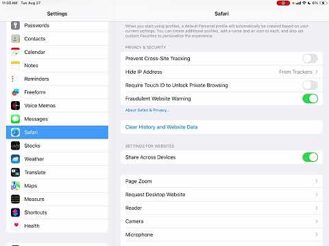 Browser Settings - Safari on an iPad