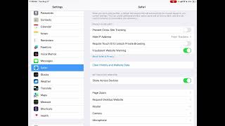 Browser Settings - Safari on an iPad screenshot 5