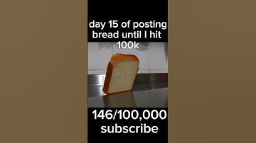 Day 15 of posting bread until I hit 100k 💪 🍞