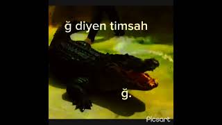 ğ