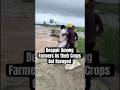 Punjab Floods Devastate Crops 🌊