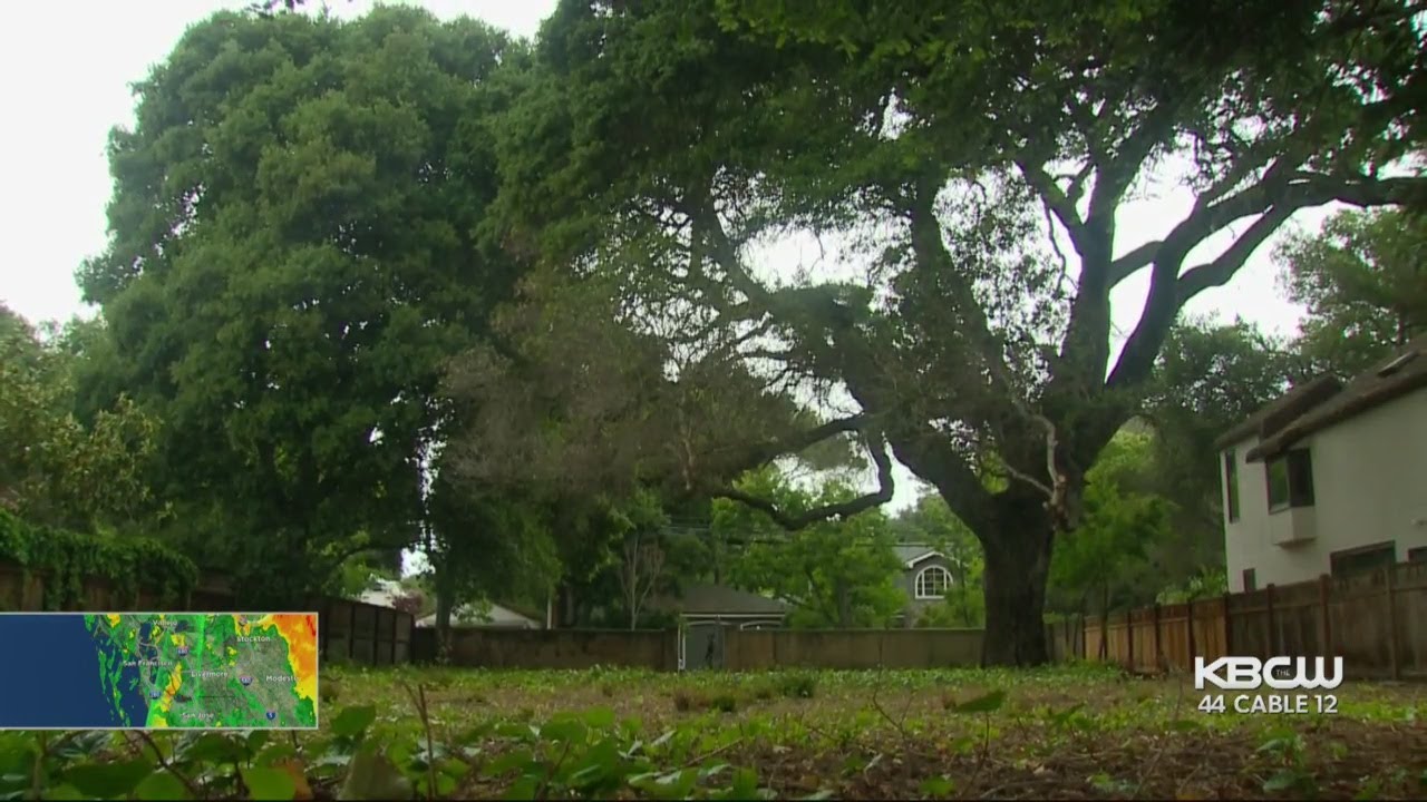 Empty Palo Alto Lot Hits Market For $9 Million - YouTube