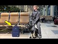 Служебная собака нашла в рюкзаке нечто ужасное! Полиция в ужасе!