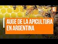 Roberto Imberti sobre la miel