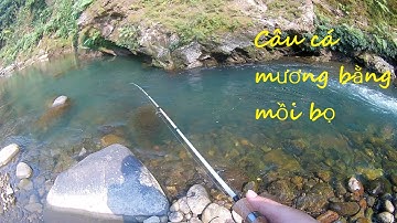 Câu cá mương bằng thẻo bọ, cuộc đua giữa 2 con mồi bọ