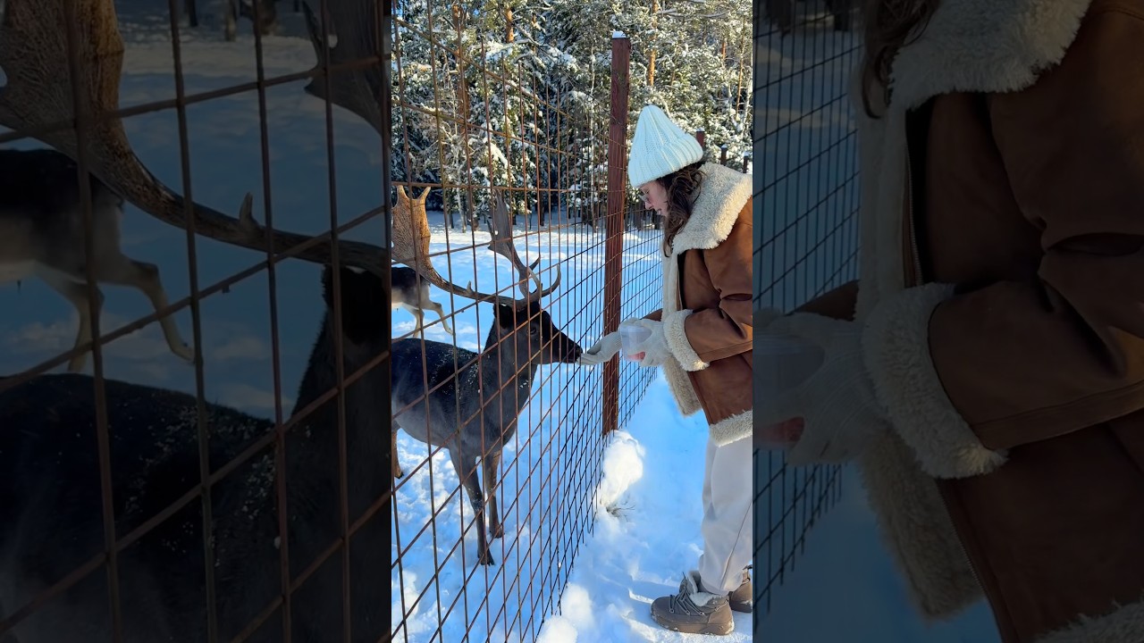 НЕ МОГЛА НЕ ПОКАЗАТЬ. 