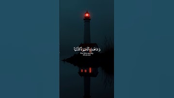 (سورة العنكبوت) وَمَا هَذِهِ الْحَيَاةُ الدُّنْيَا//أجمل تلاوت القرآن الكريم #ياسر_الدوسري