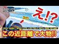 【福岡釣部 in 糸島 大口海岸】133 ミノー最強説が急浮上‼️まさかサーフの足下から巨大な◯◯が釣れて大興奮🎣🎣🎣Fukuoka Japan Fishing Club in 糸島サーフ