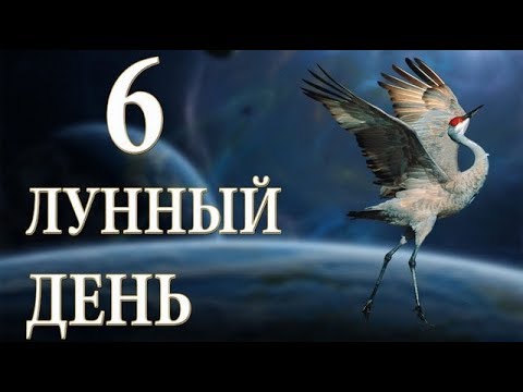 день - 6 Лунный день — характеристика, описание Hqdefault