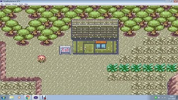 Pokemon Ruby/Sapphire Soot Sack