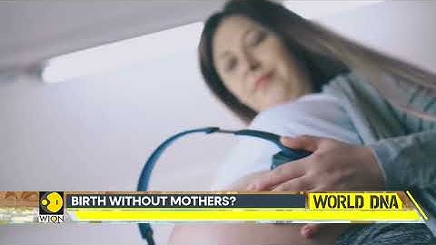China Introduces Robot Pregnancy With Artificial Womb, Shaping the Future of Birth | WION World DNA